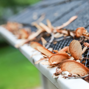 Clogged gutter